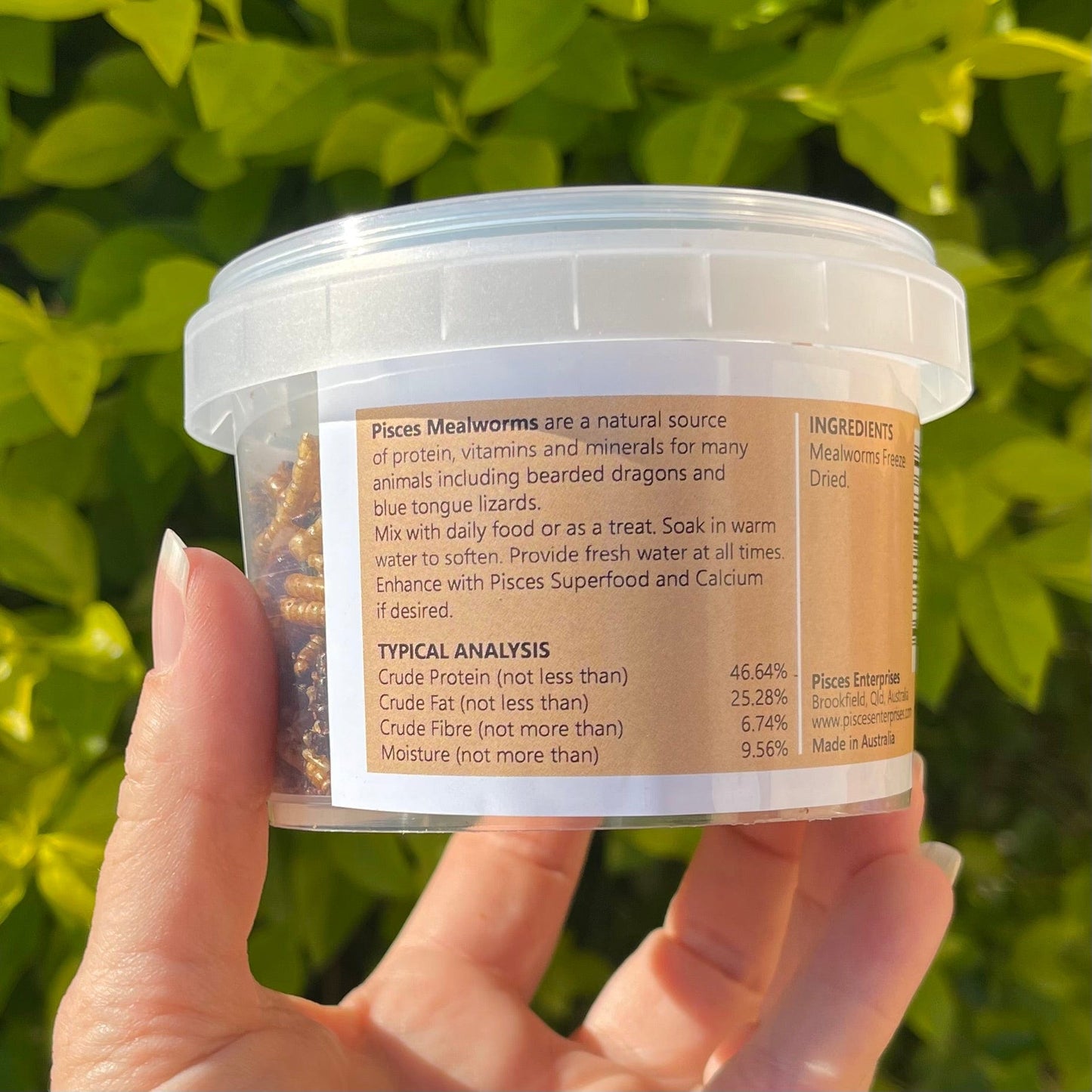 Pisces Enterprises Reptile Food Freeze-dried Mealworms Pisces 40g Jar