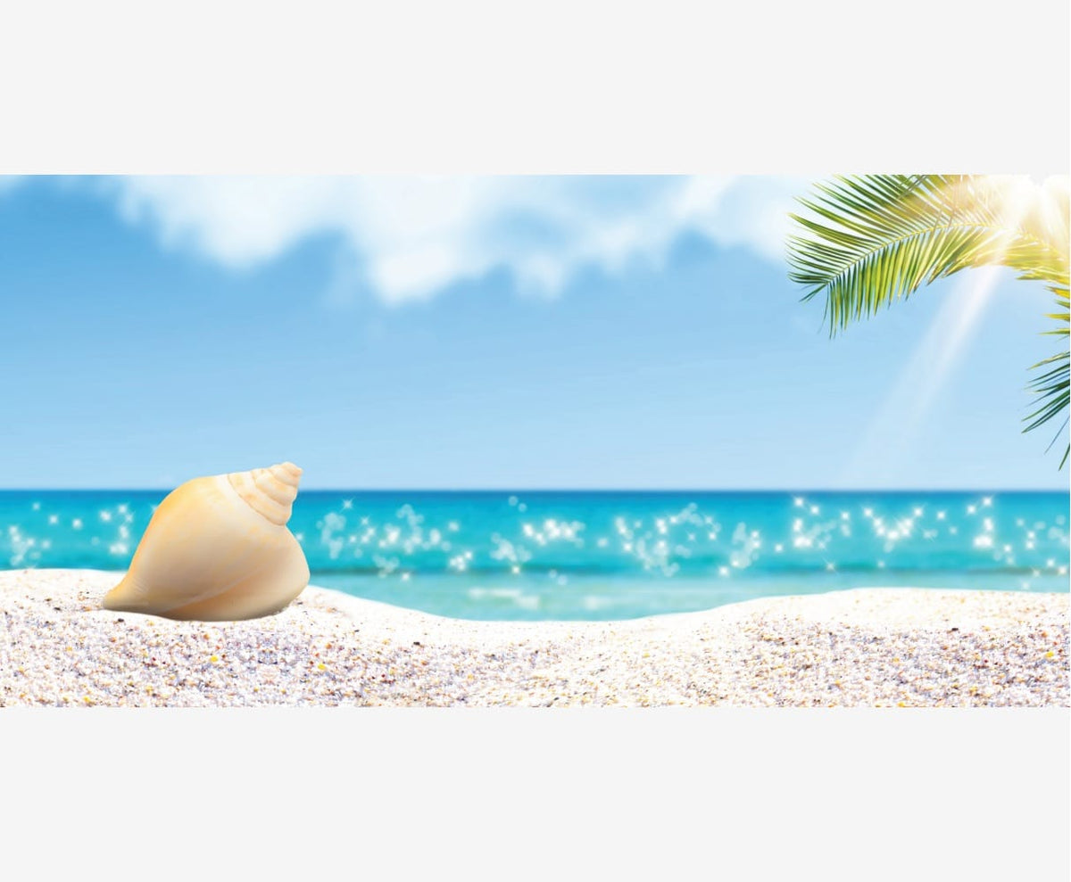 Reptile Realm Aqua Natural 2 foot (40cm high by 60cm wide) Hermit Beach Poster Background