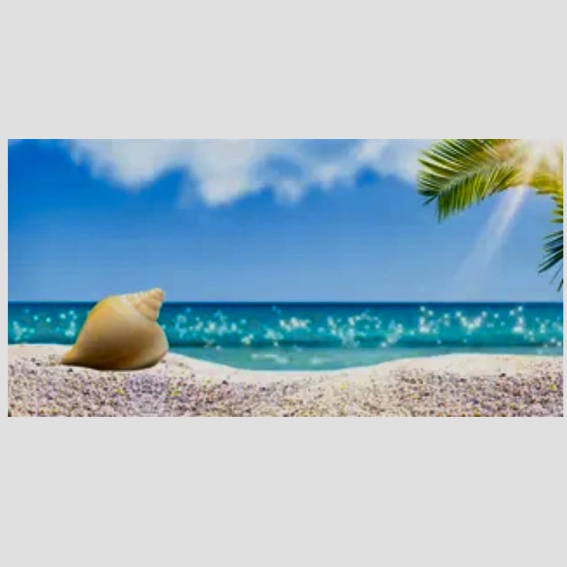 Reptile Realm Aqua Natural Hermit Beach Poster Background