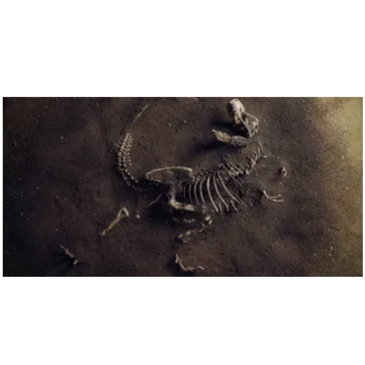 Reptile Realm Aqua Natural Jurassic Bones Poster Background