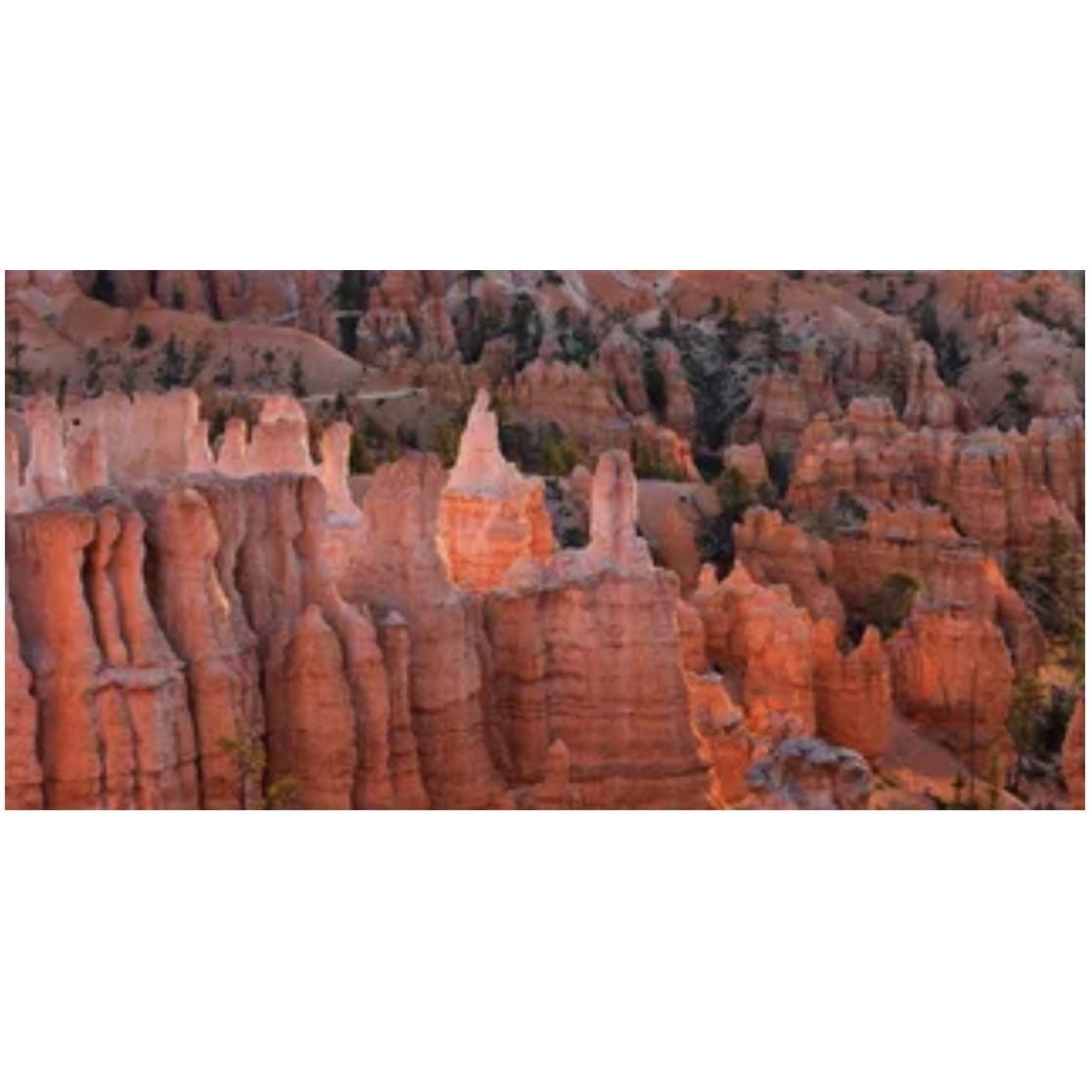 Reptile Realm Aqua Natural Red Canyon Poster Background