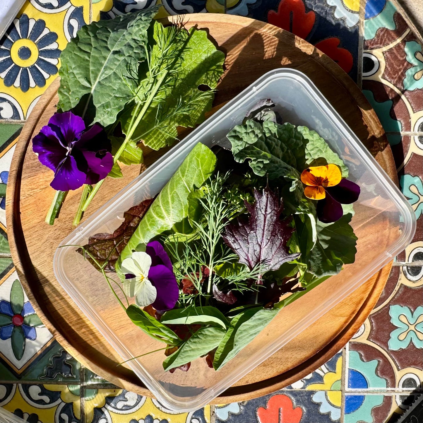 Reptile Realm Fresh Salad Fresh Mixed Salad Tub for Reptiles