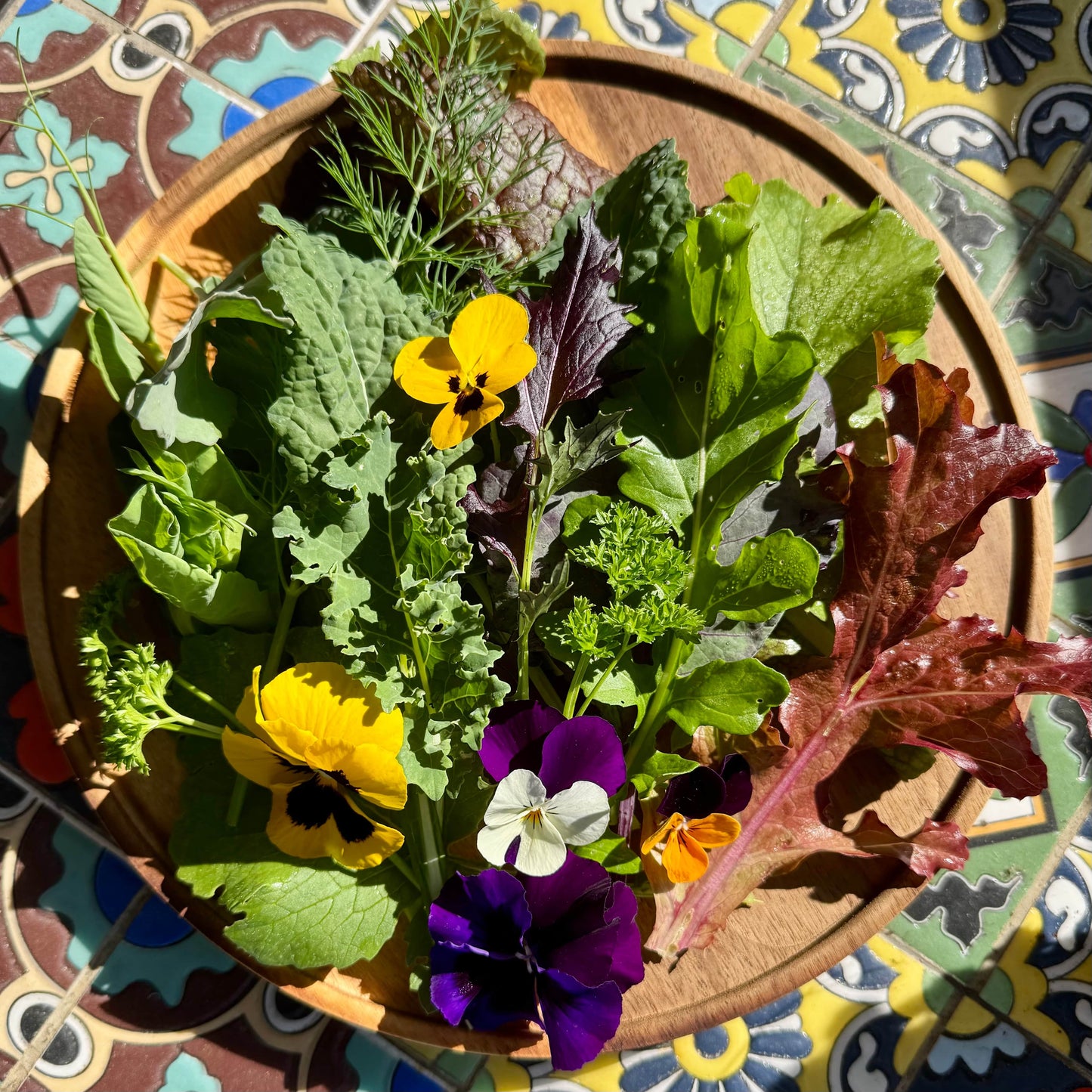 Reptile Realm Fresh Salad Fresh Mixed Salad Tub for Reptiles