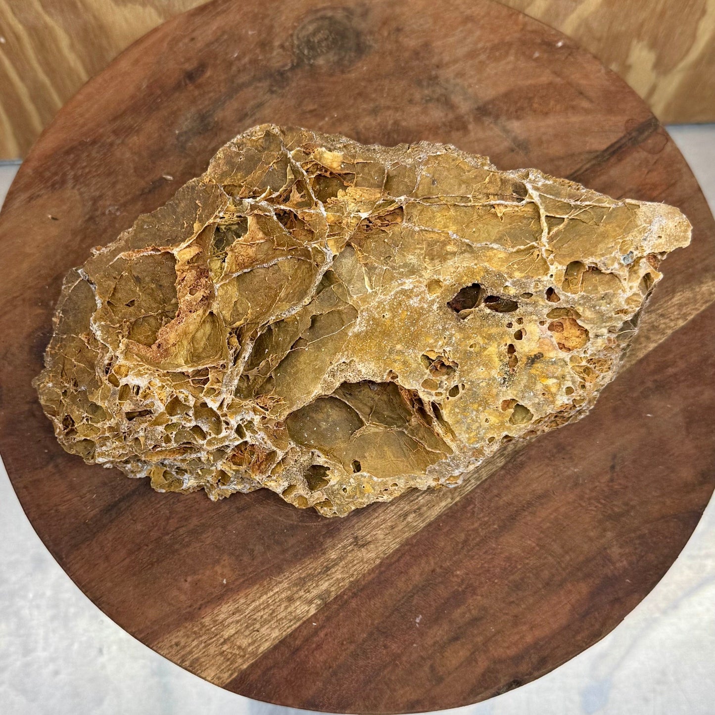 Reptile Realm Natural Rock Natural Basking Rock - Piece A