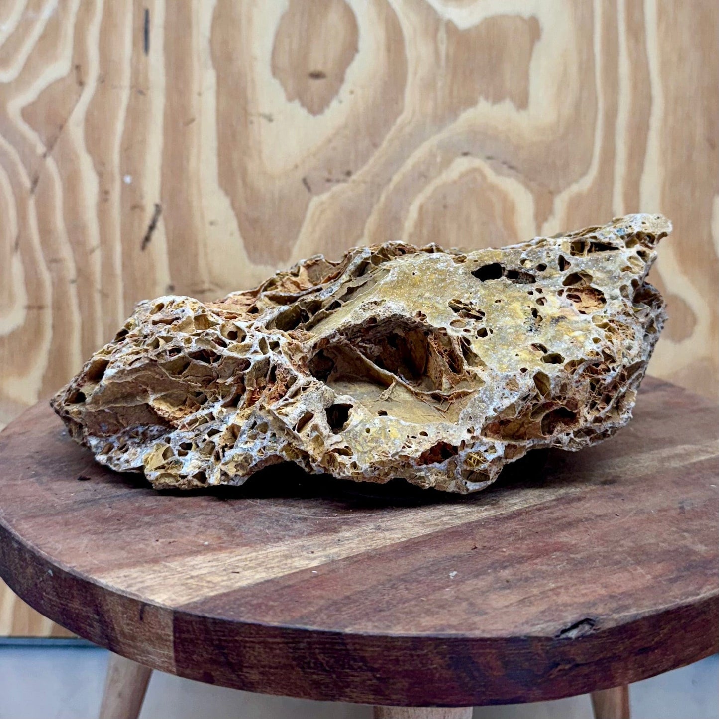 Reptile Realm Natural Rock Natural Basking Rock - Piece A