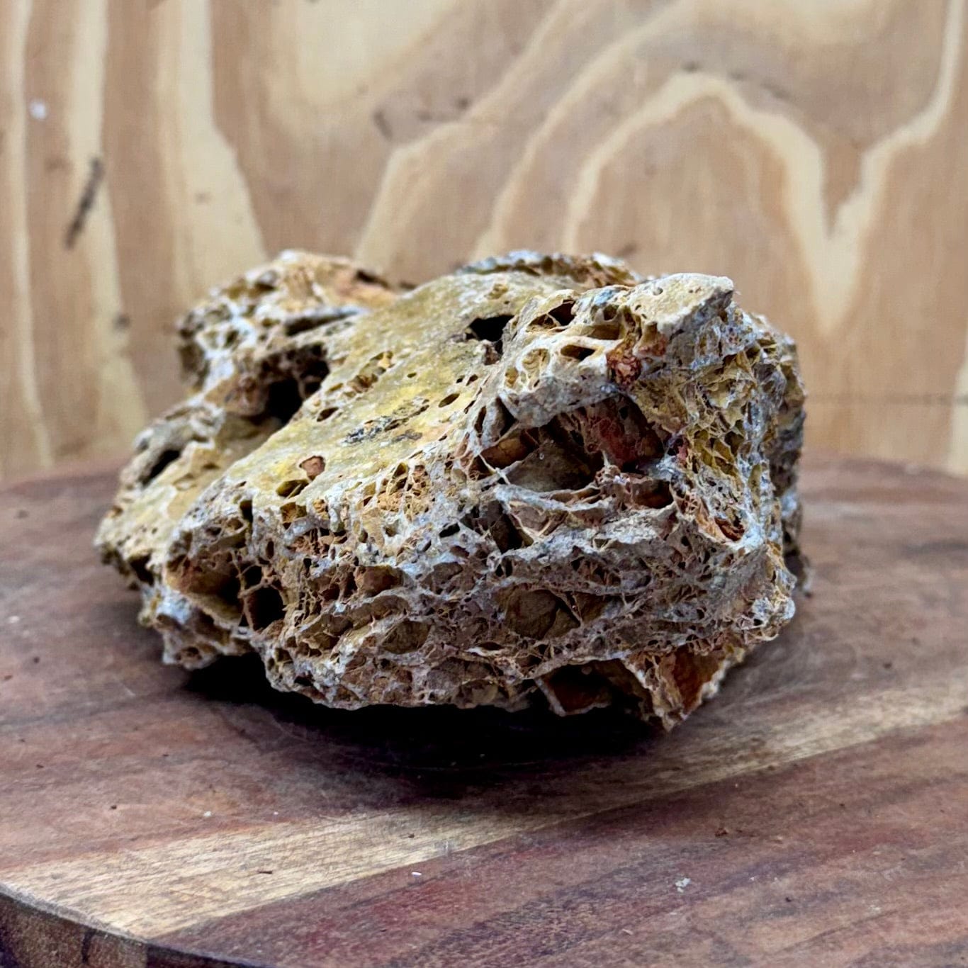 Reptile Realm Natural Rock Natural Basking Rock - Piece A