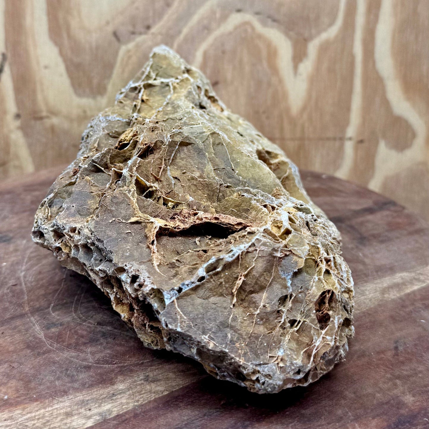 Reptile Realm Natural Rock Natural Basking Rock - Piece A