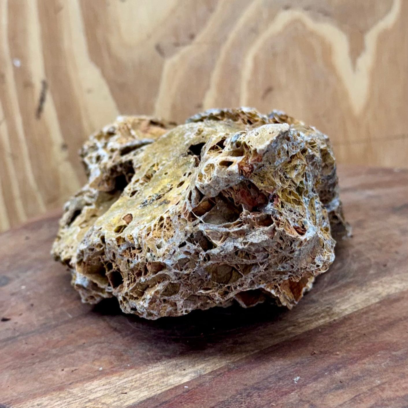 Reptile Realm Natural Rock Natural Basking Rock - Piece A