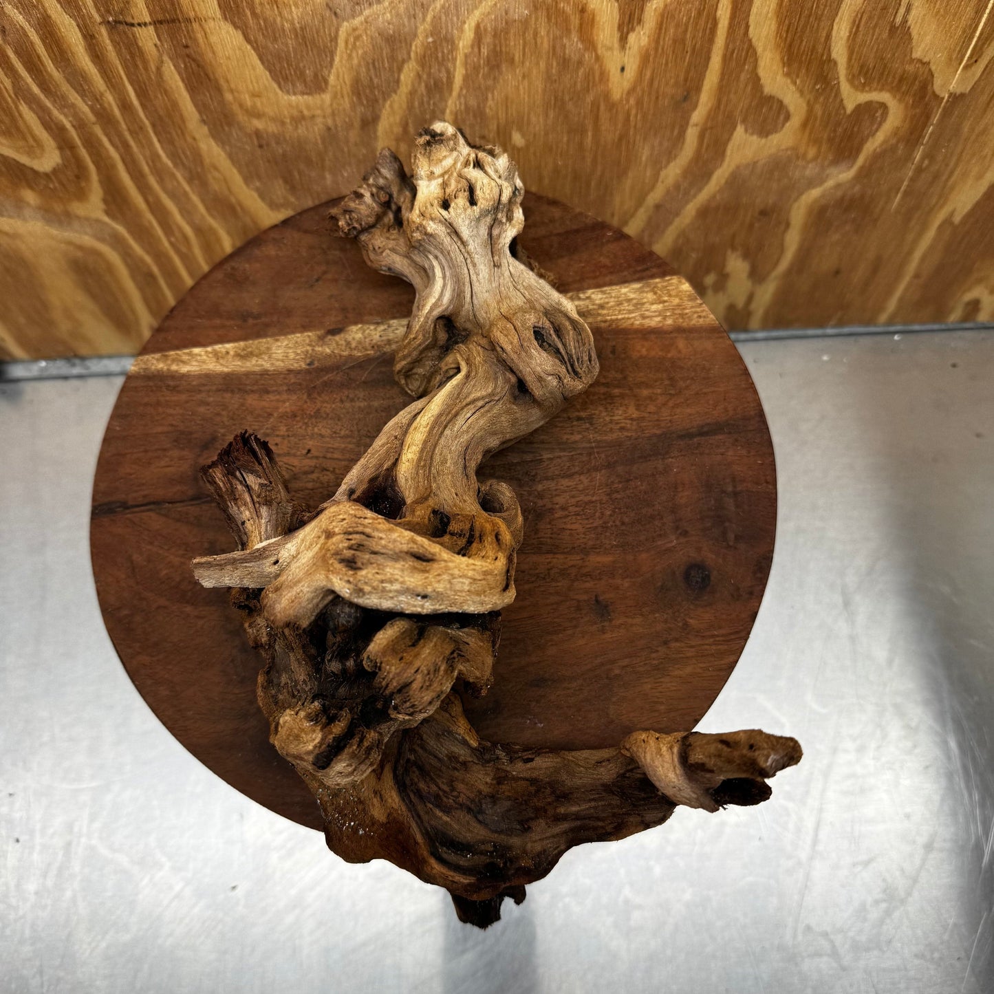 Reptile Realm Natural Wood Natural Wood Piece B