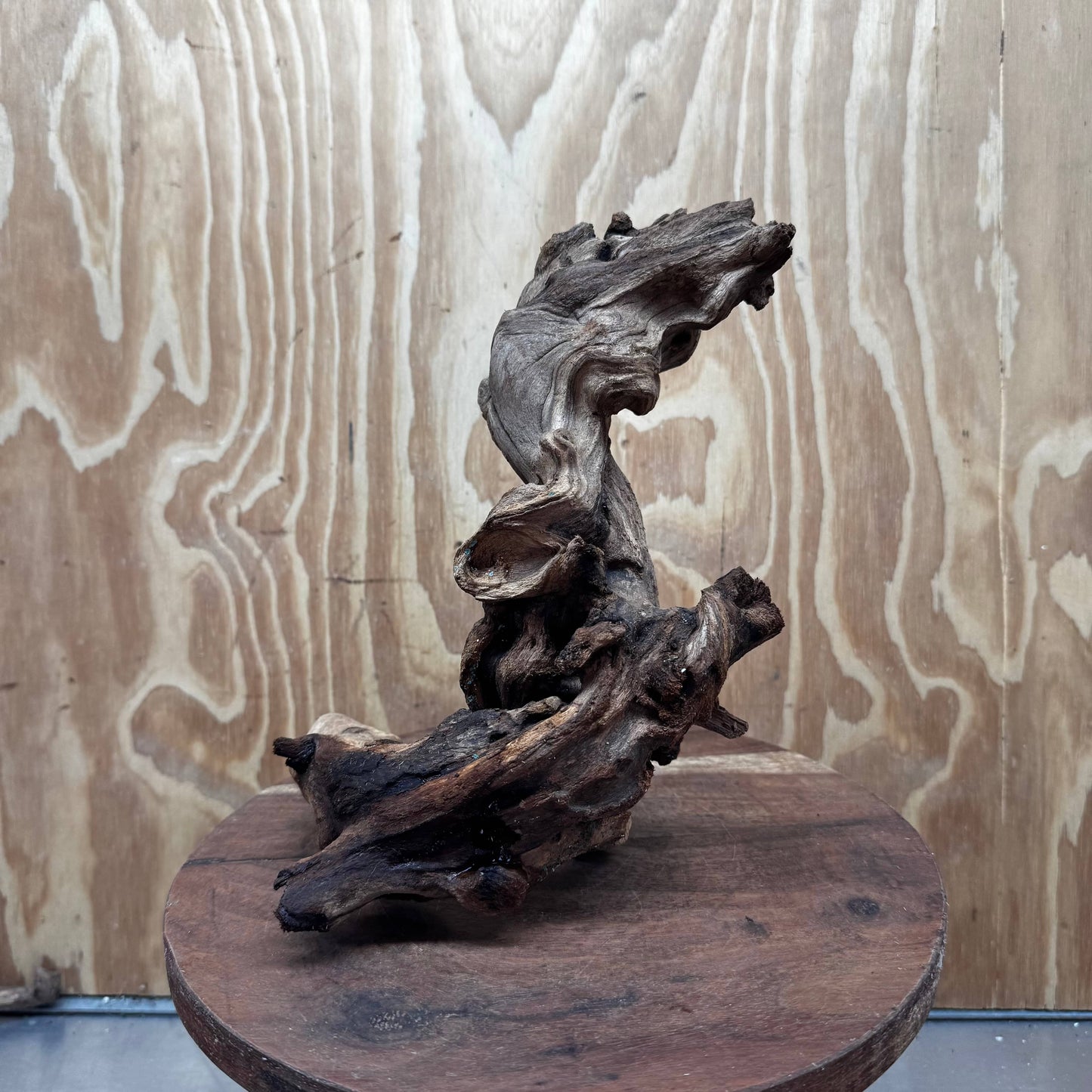 Reptile Realm Natural Wood Natural Wood Piece B