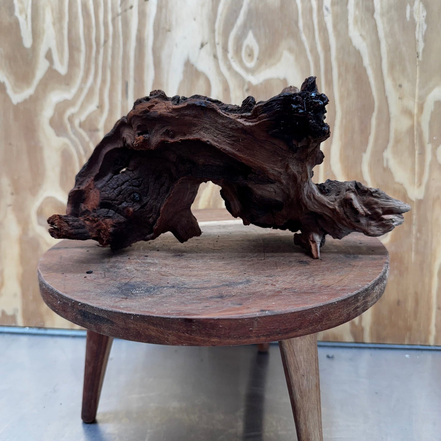 Reptile Realm Natural Wood Natural Wood Piece D