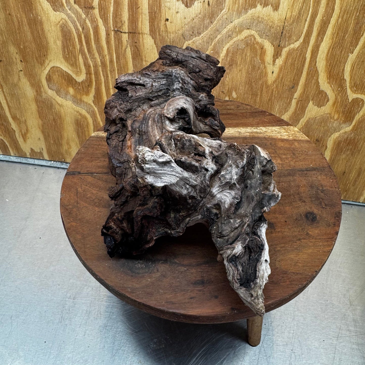 Reptile Realm Natural Wood Natural Wood Piece D