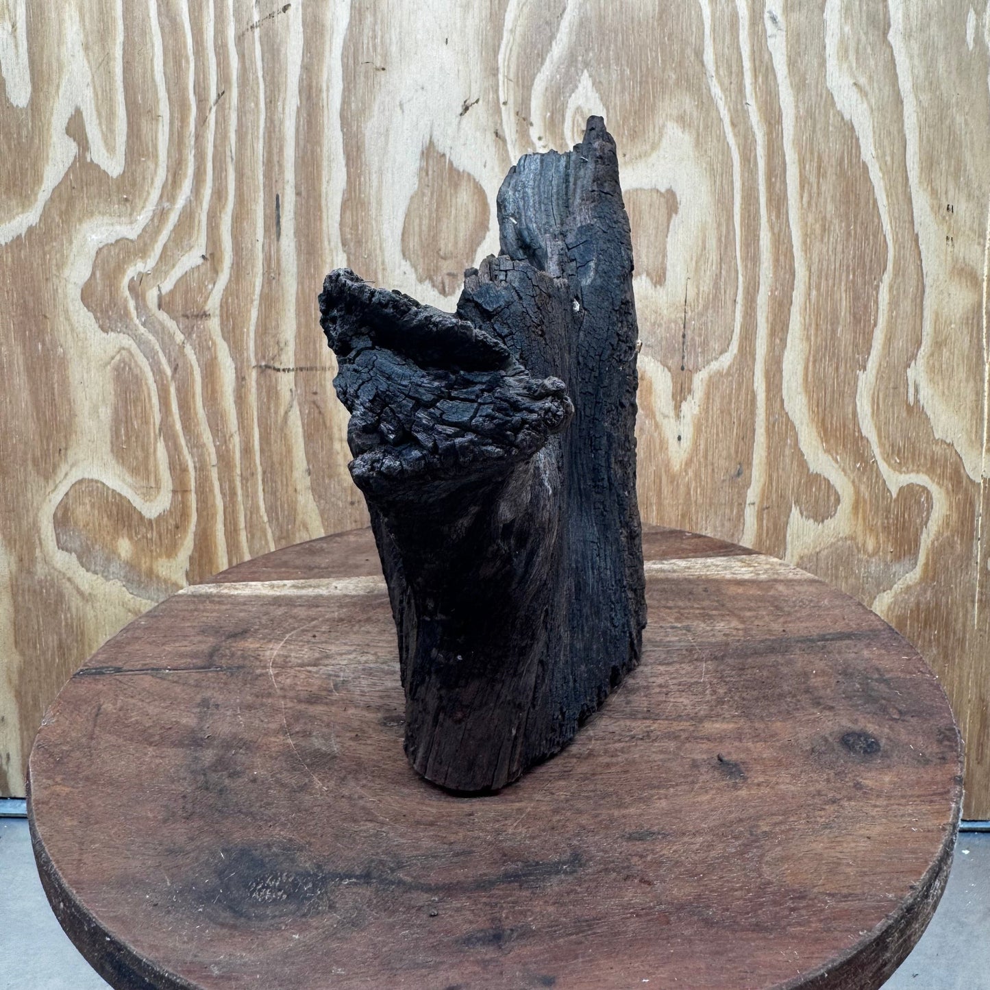 Reptile Realm Natural Wood Natural Wood Piece E - Shrek's Stump