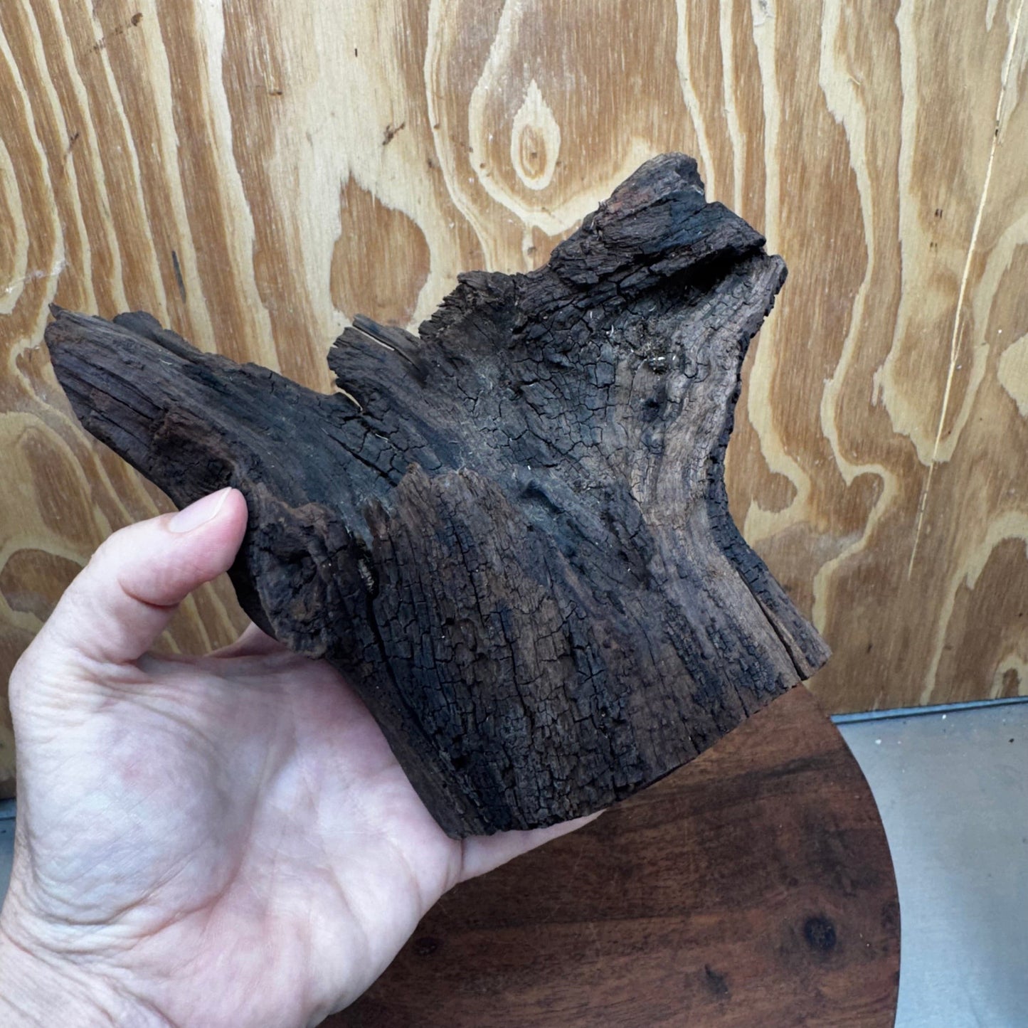 Reptile Realm Natural Wood Natural Wood Piece E - Shrek's Stump