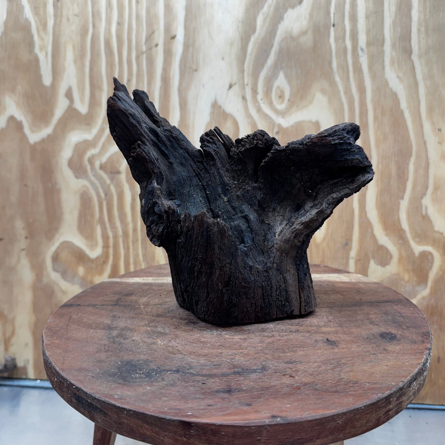 Reptile Realm Natural Wood Natural Wood Piece E - Shrek's Stump