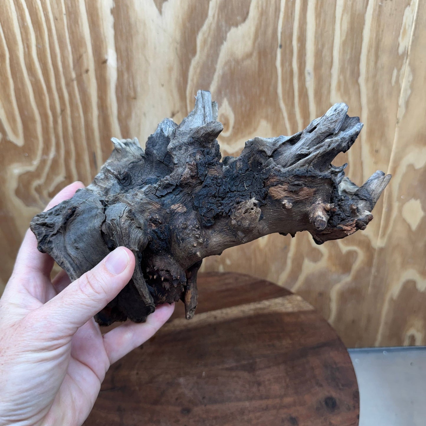 Reptile Realm Natural Wood Natural Wood Piece G