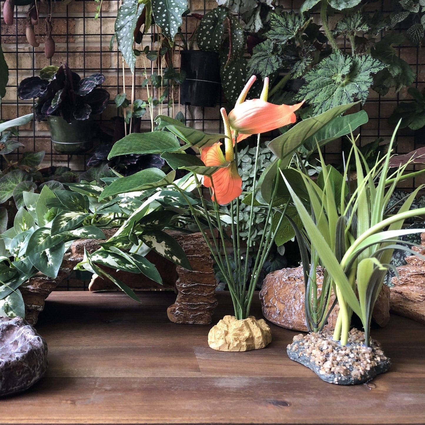 Komodo Artificial Plant Komodo Anthurium Bush