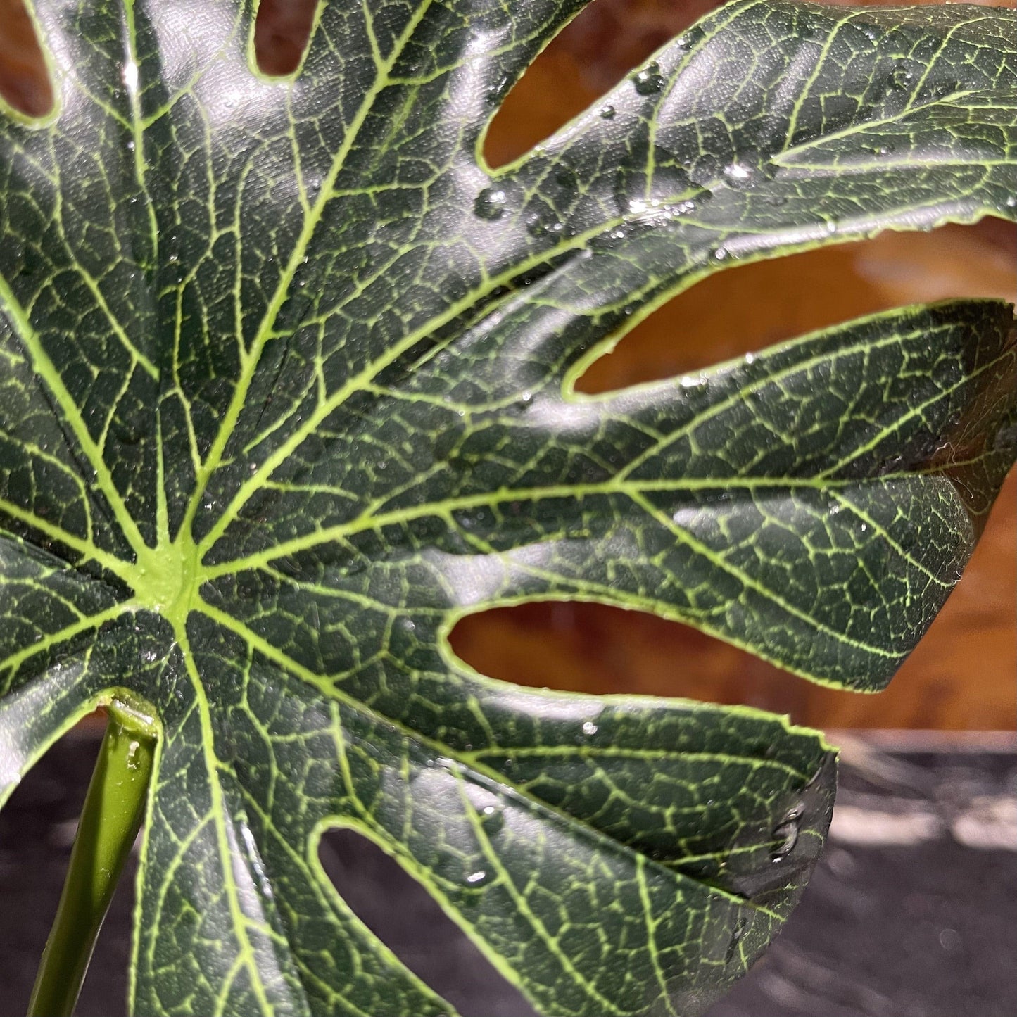 Komodo Artificial Plant Komodo Jungle Canopy