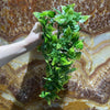 Komodo Artificial Plant Komodo Philodendron Hanging Plant