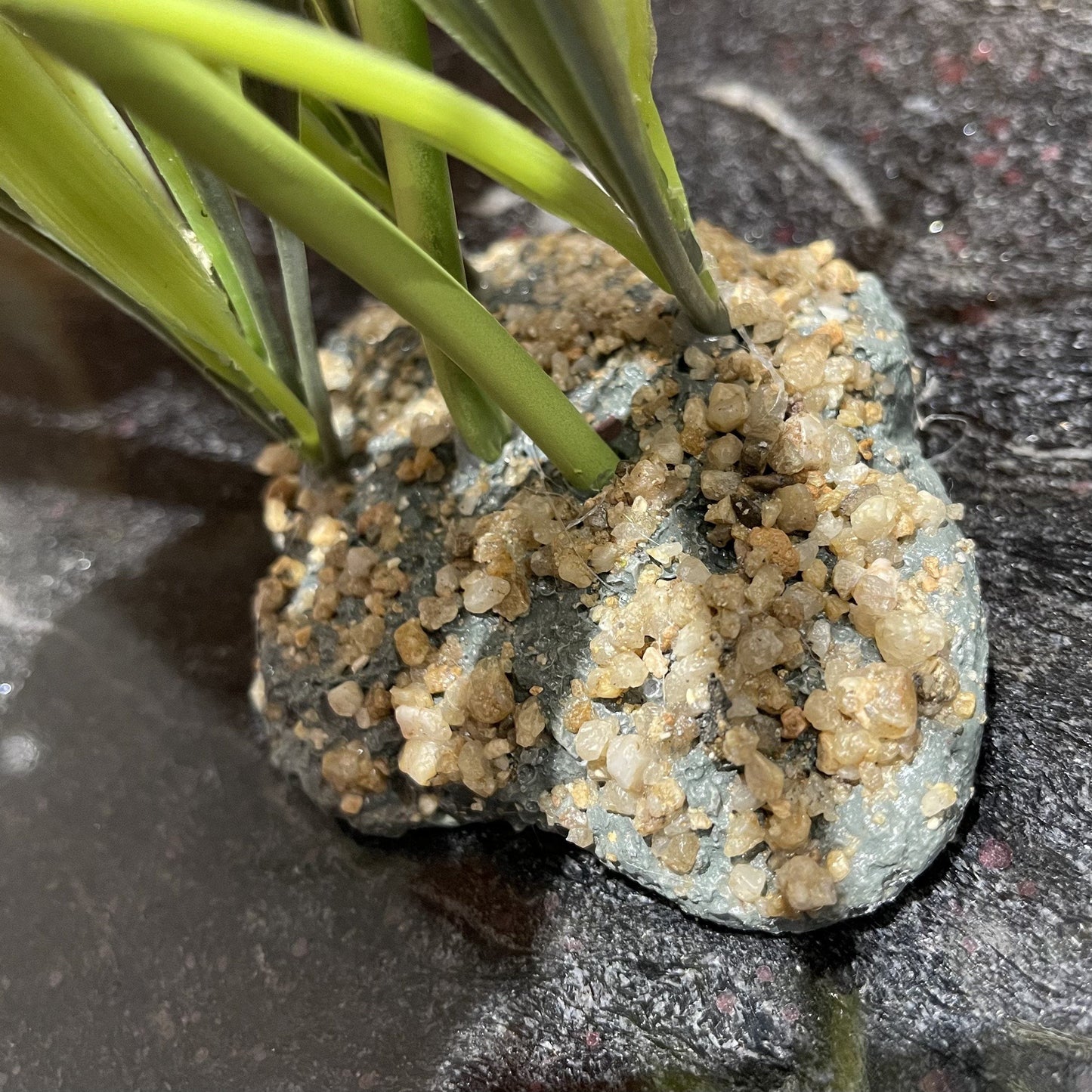 Komodo Artificial Plant Komodo Rainforest Canopy