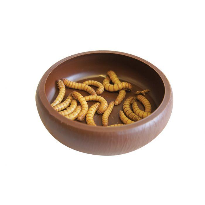 Komodo Food Bowl Komodo Reptile Mealworm Dish