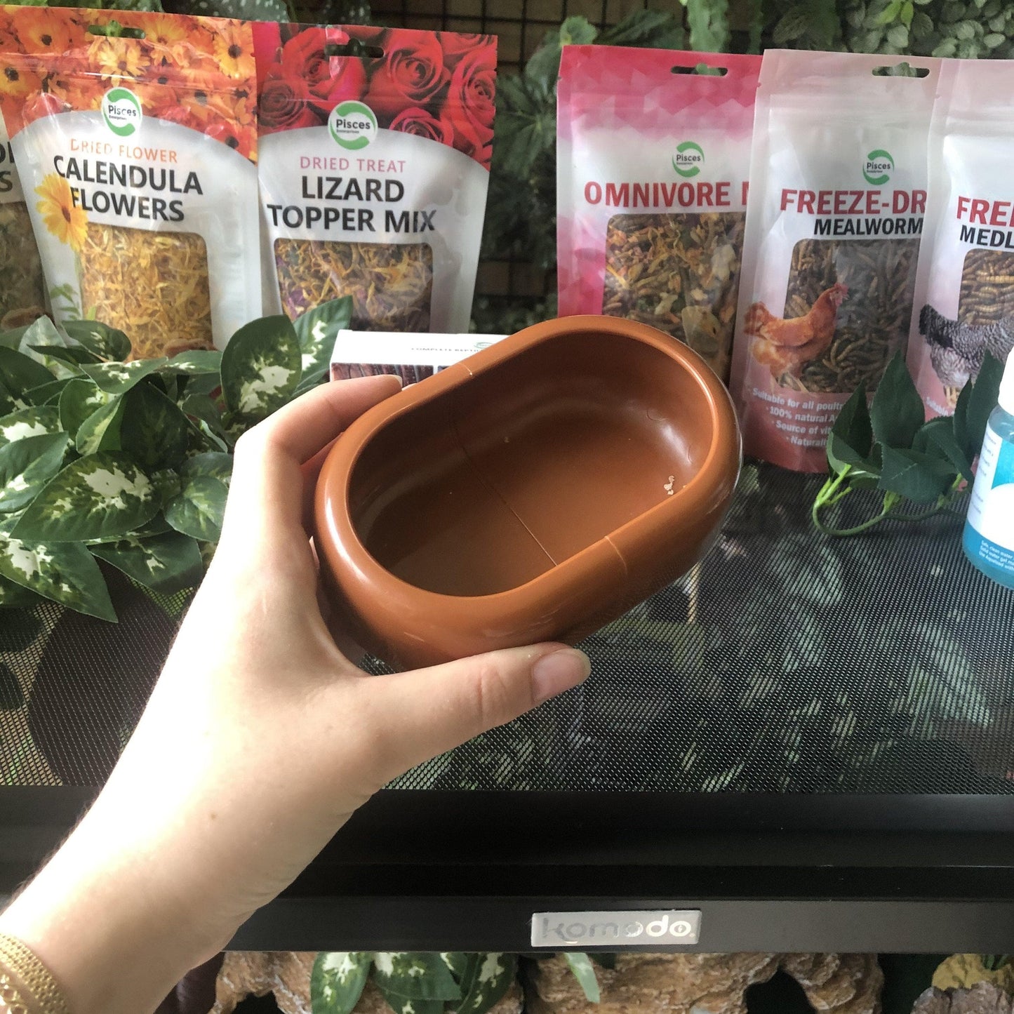 Komodo Food Bowl Komodo Smart Live Food Feeding Dish