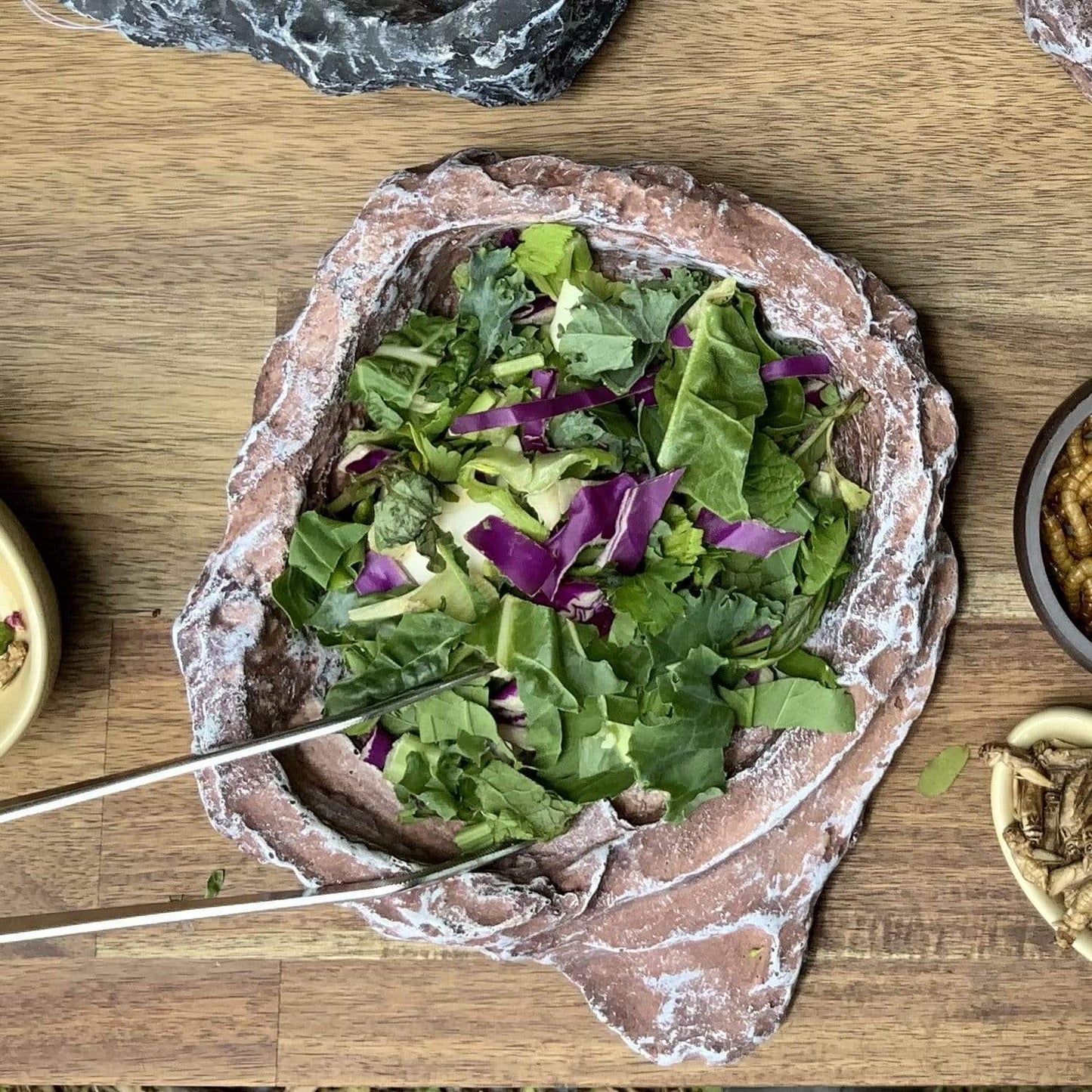 Komodo Food Bowl Komodo Terraced Dish Brown Medium