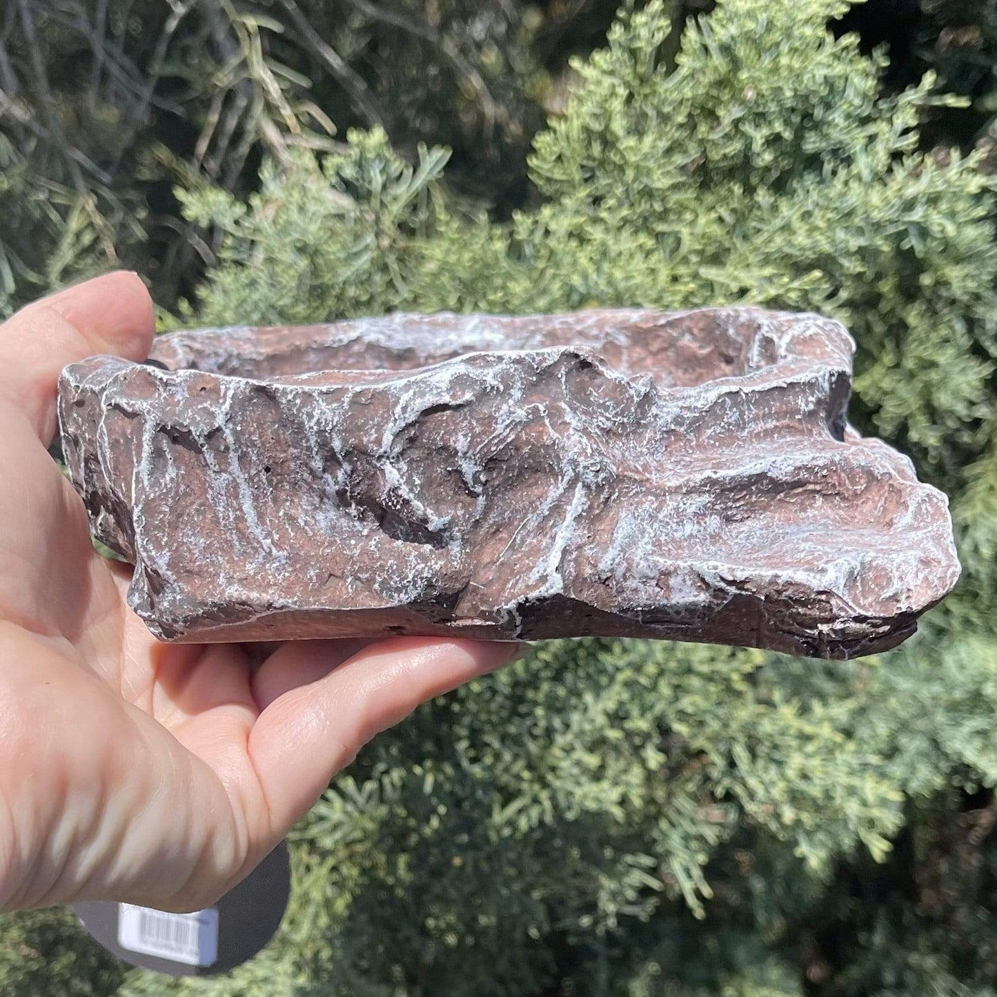 Komodo Food Bowl Komodo Terraced Dish Brown Medium