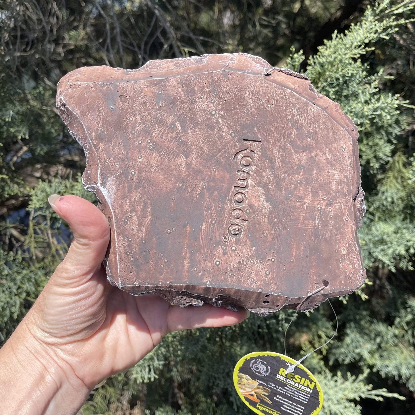 Komodo Food Bowl Komodo Terraced Dish Brown Medium