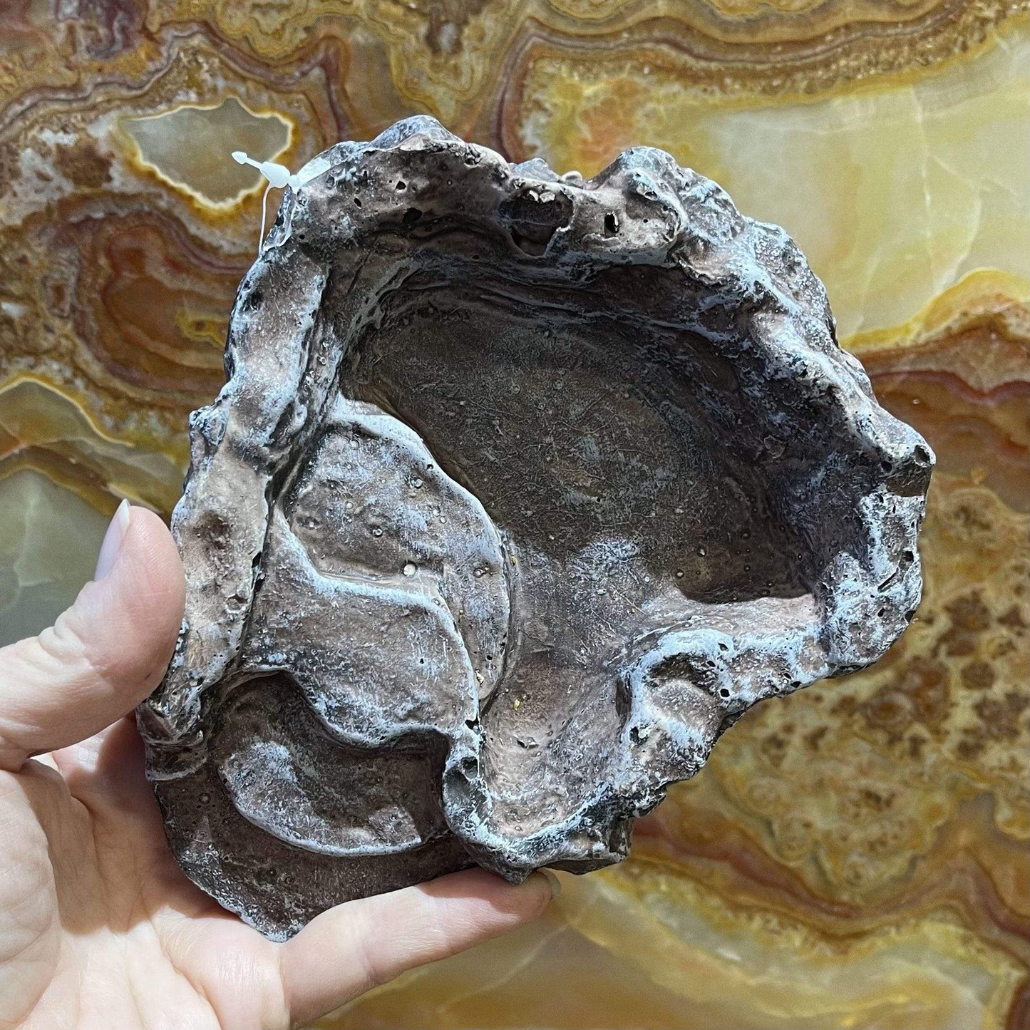 Komodo Food Bowl Komodo Terraced Dish Brown Small