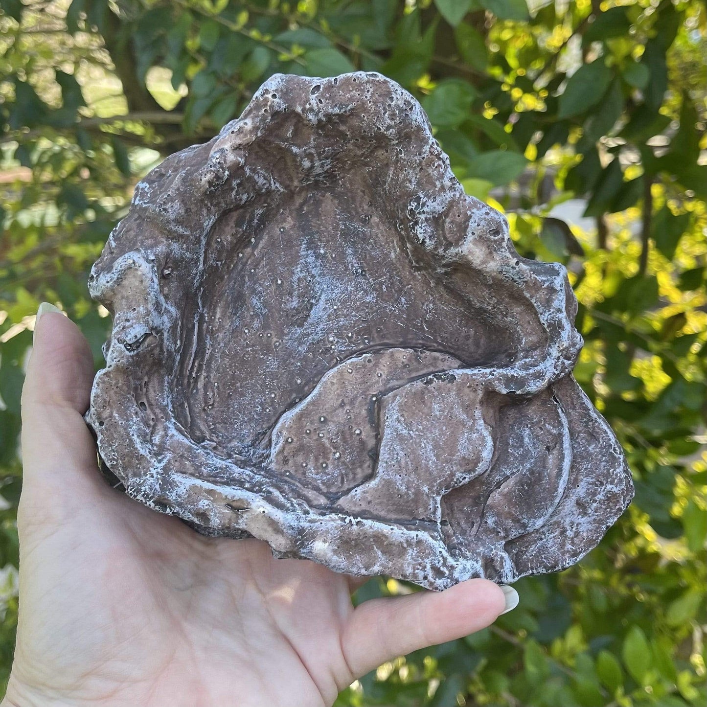 Komodo Food Bowl Komodo Terraced Dish Brown Small