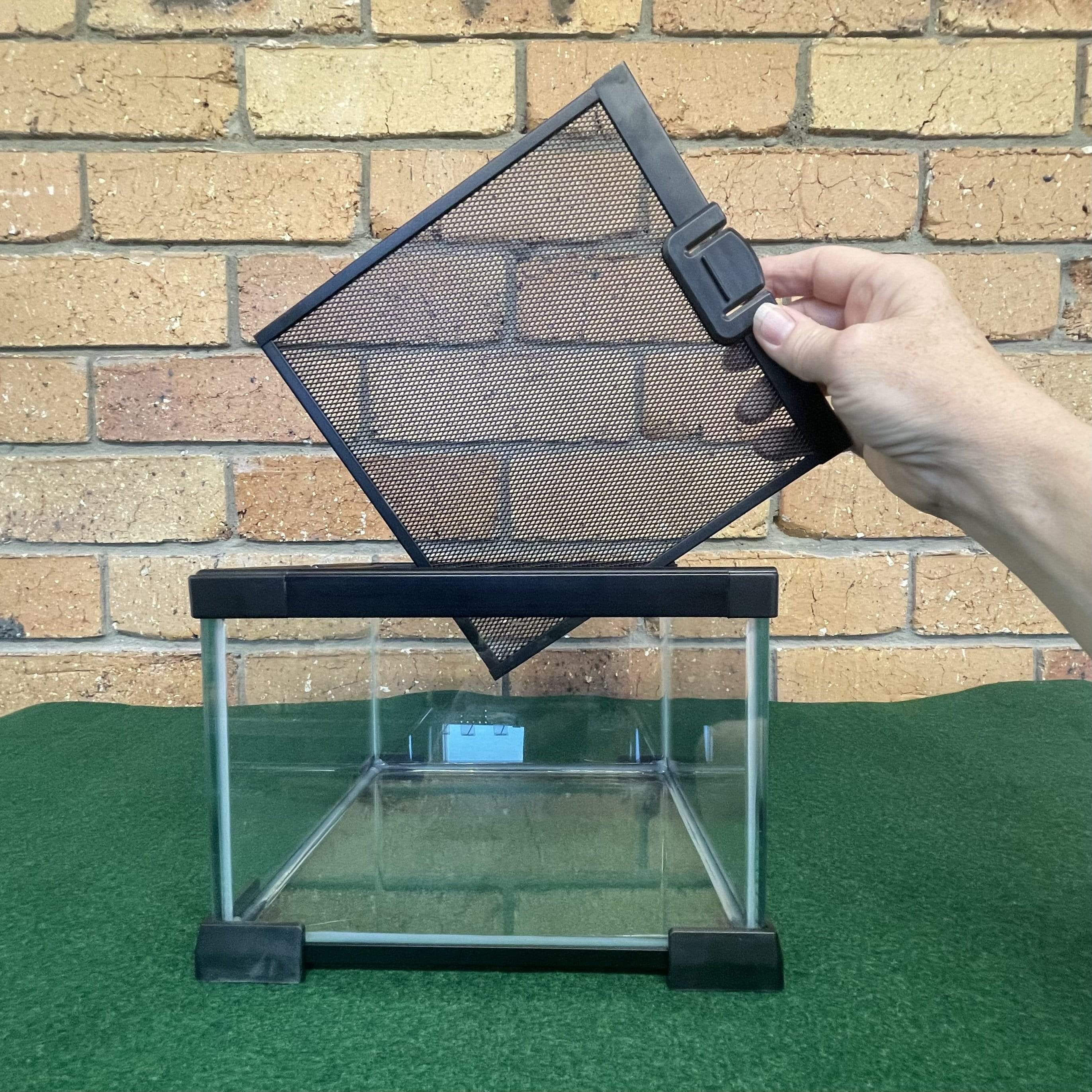 Komodo Nano Habitat 21cm x 21cm x 15cm – Reptile Realm