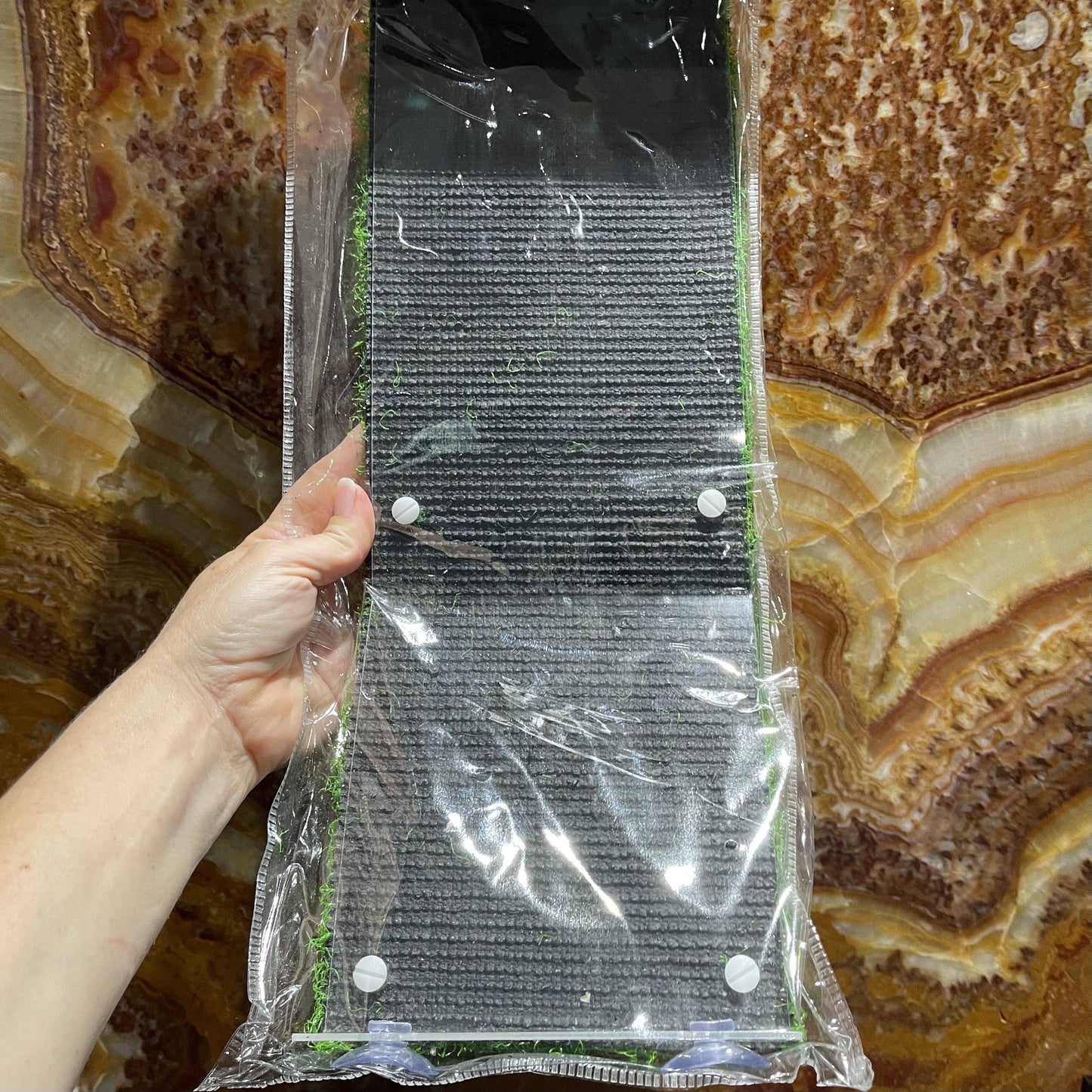 Komodo Reptile Decor Komodo Turtle Ramp