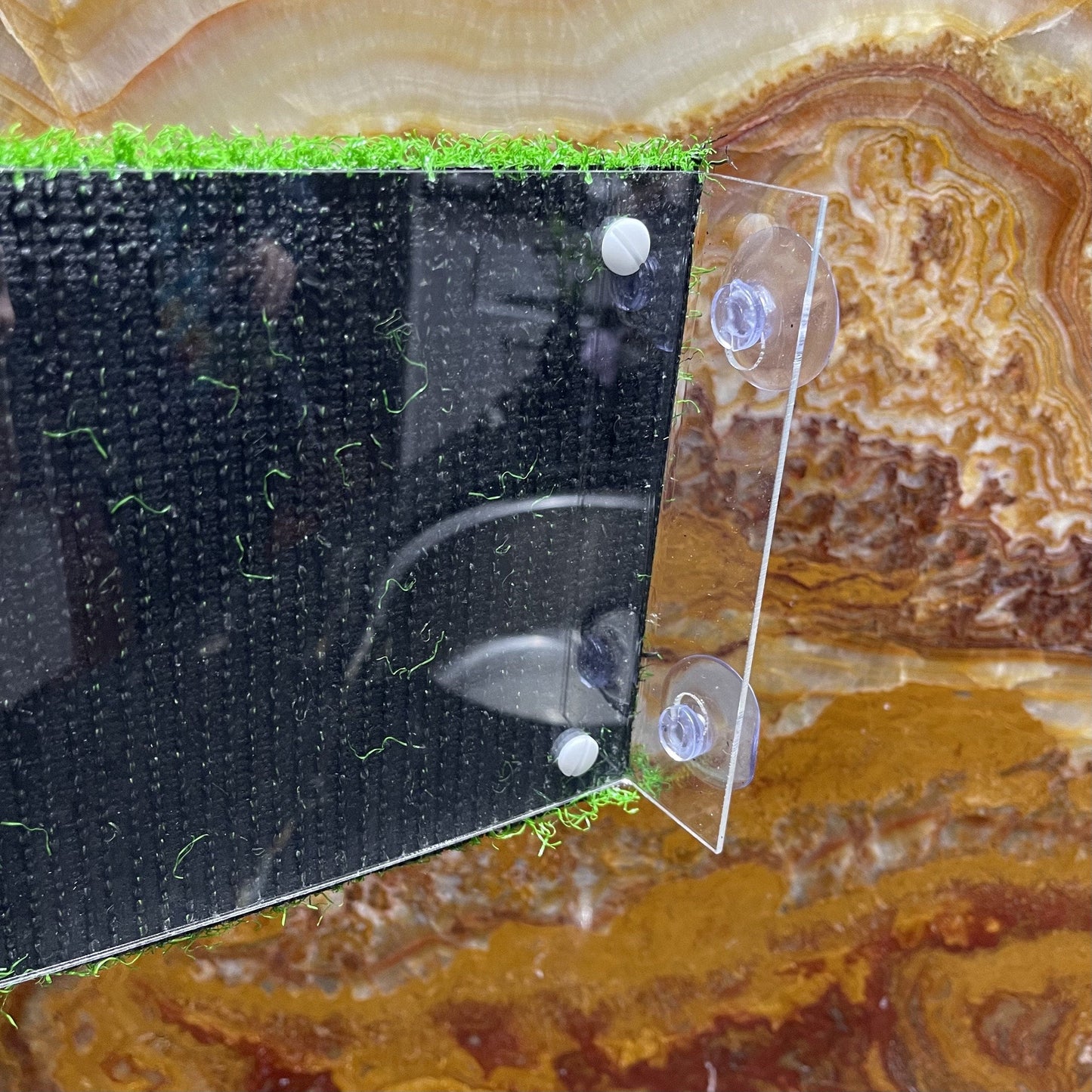 Komodo Reptile Decor Komodo Turtle Ramp