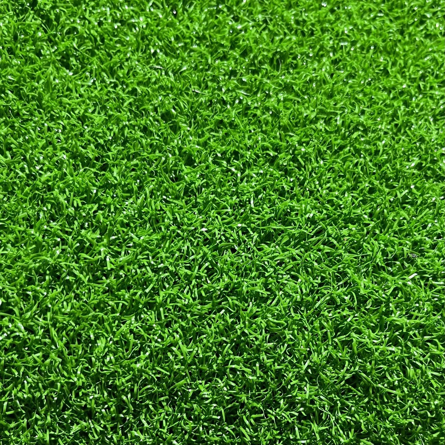 Komodo Reptile Decor Komodo Turtle Ramp