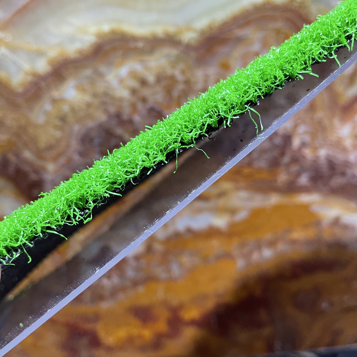 Komodo Reptile Decor Komodo Turtle Ramp