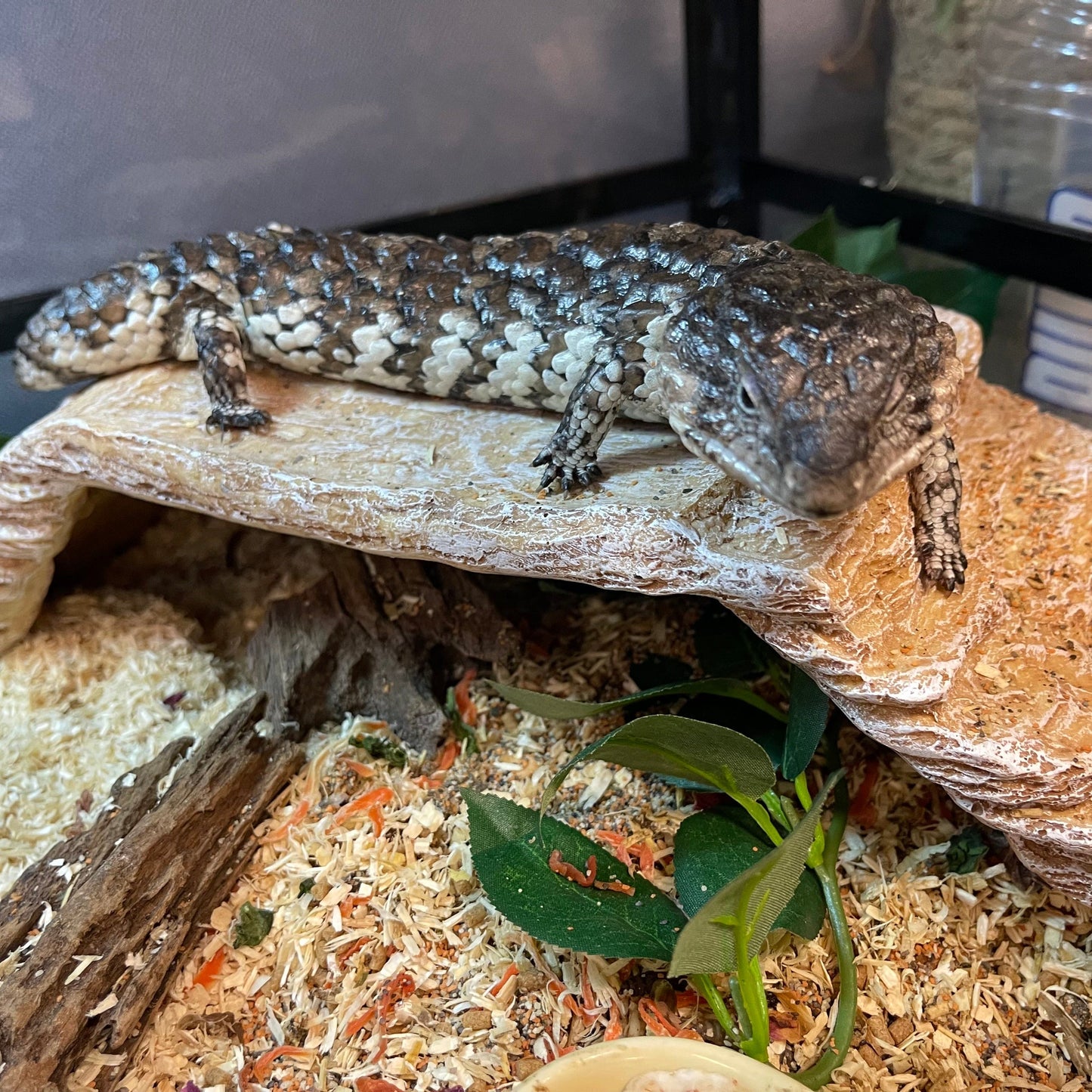 Komodo Resin Rock Decor Komodo Basking Platform Ramp Brown Large