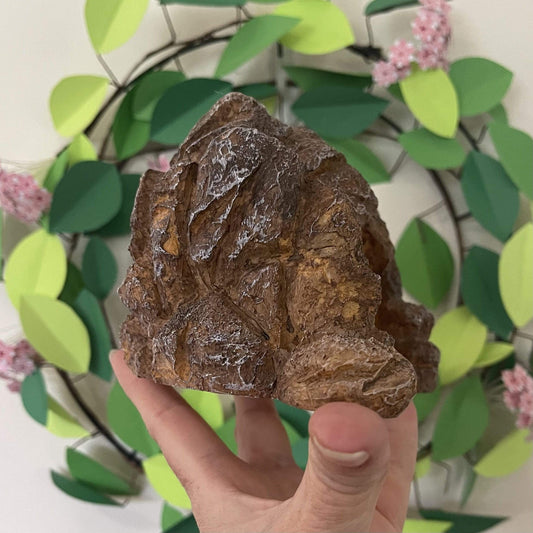 Komodo Resin Rock Decor Komodo Cave Den Brown