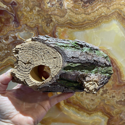 Komodo Resin Rock Decor Komodo Forest Log Hiding Den