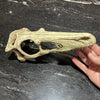 Komodo Resin Rock Decor Komodo Raptor Skull Large
