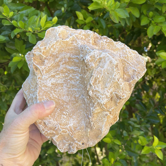 Komodo Resin Rock Decor Komodo Reptile Rock Den Sandstone Medium