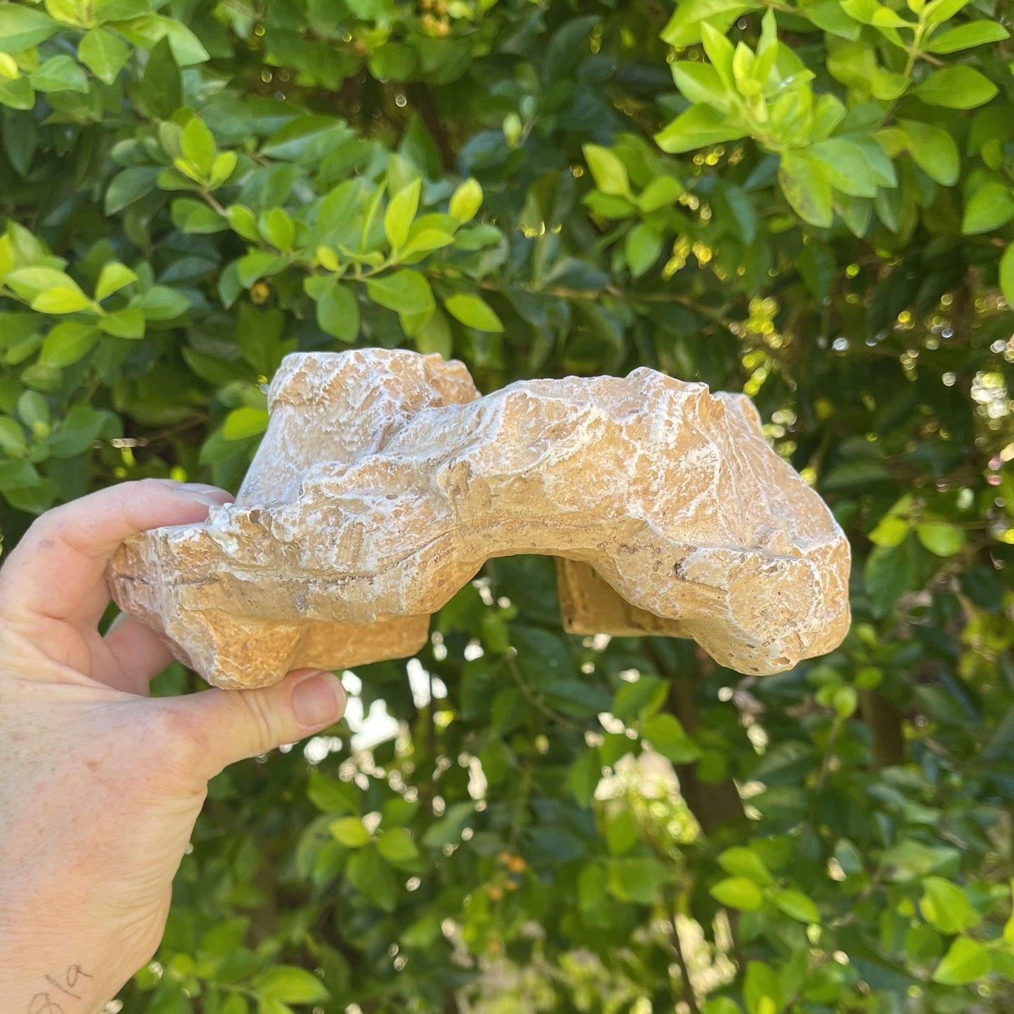 Komodo Resin Rock Decor Komodo Reptile Rock Den Sandstone Medium