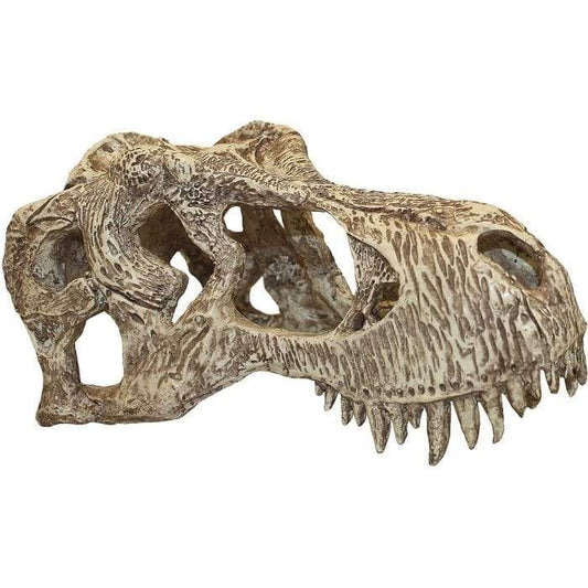 Komodo Resin Rock Decor Komodo T-Rex Skull Large