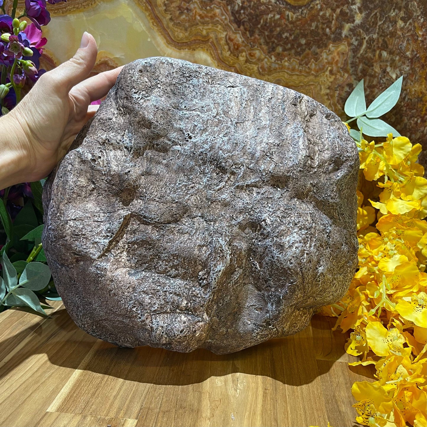 Komodo Resin Rock Decor Komodo Wide Entrance Rock Den Extra-Large