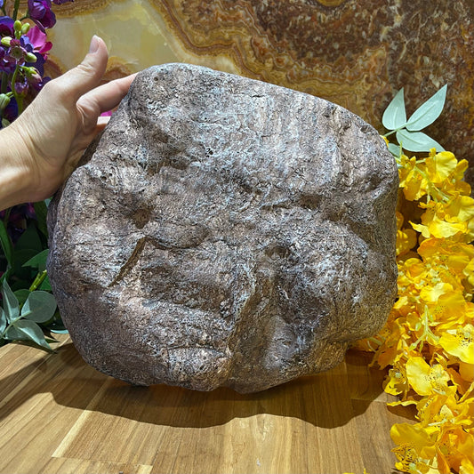 Komodo Resin Rock Decor Komodo Wide Entrance Rock Den Extra-Large