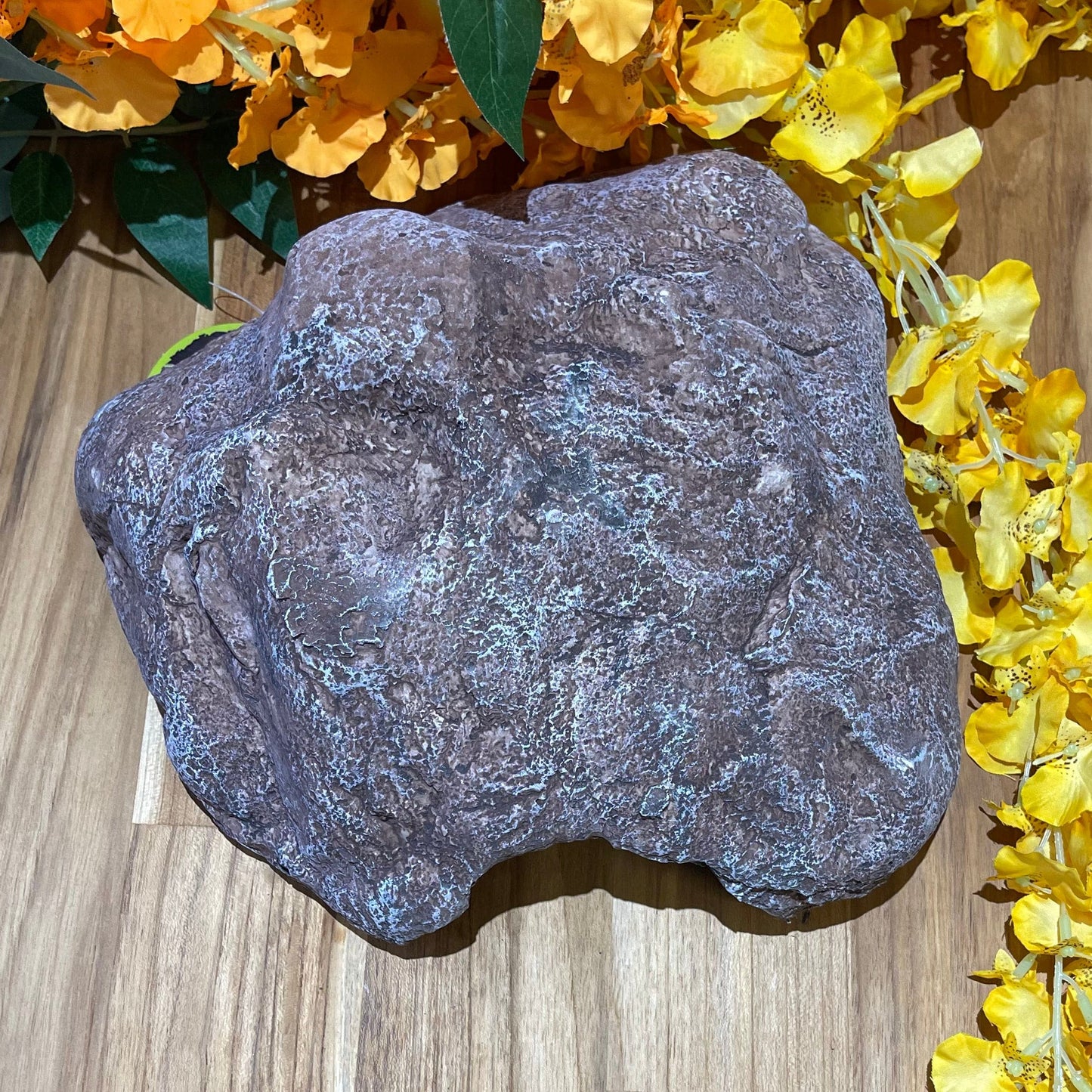 Komodo Resin Rock Decor Komodo Wide Entrance Rock Den Large