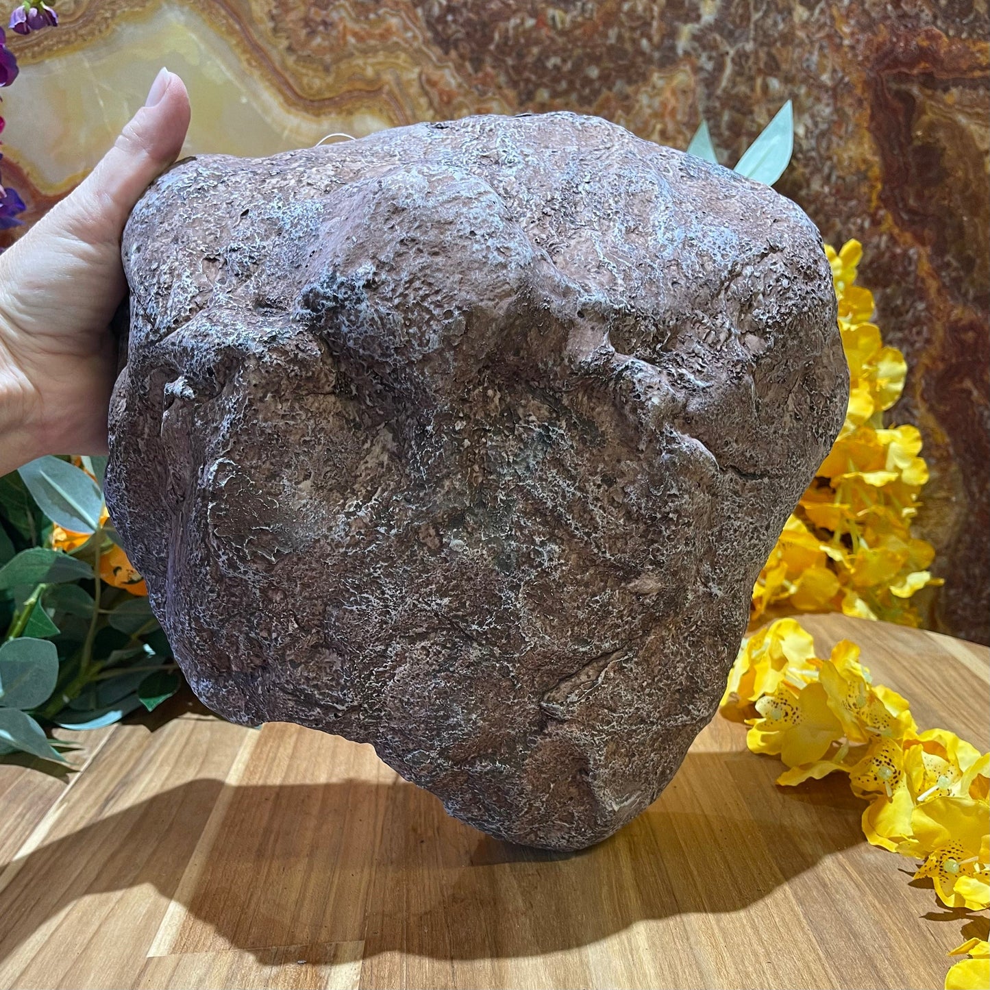Komodo Resin Rock Decor Komodo Wide Entrance Rock Den Large