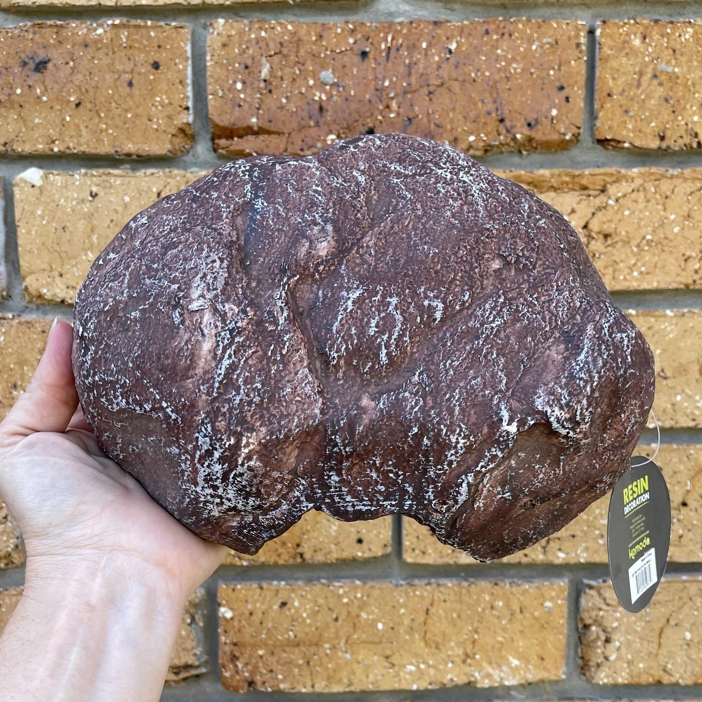 Komodo Resin Rock Decor Komodo Wide Entrance Rock Den Medium