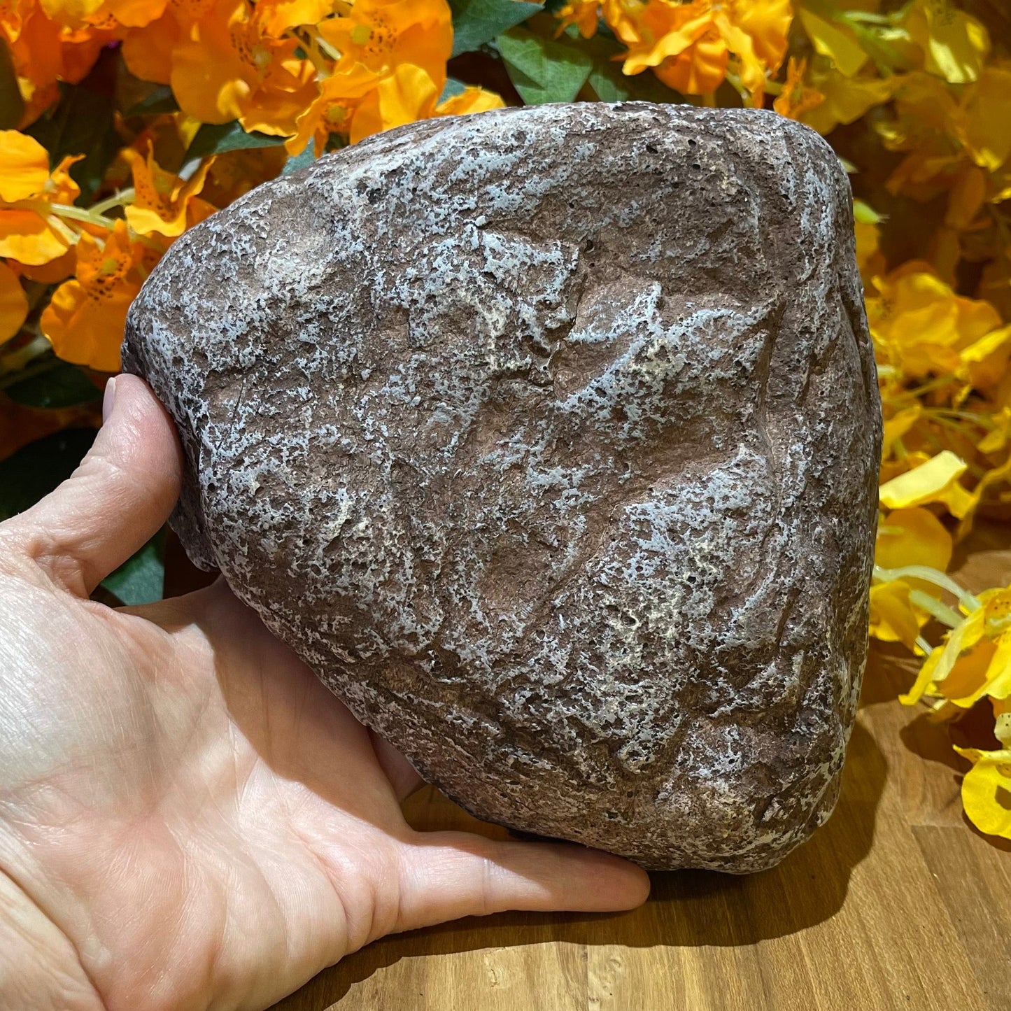 Komodo Resin Rock Decor Komodo Wide Entrance Rock Den Small