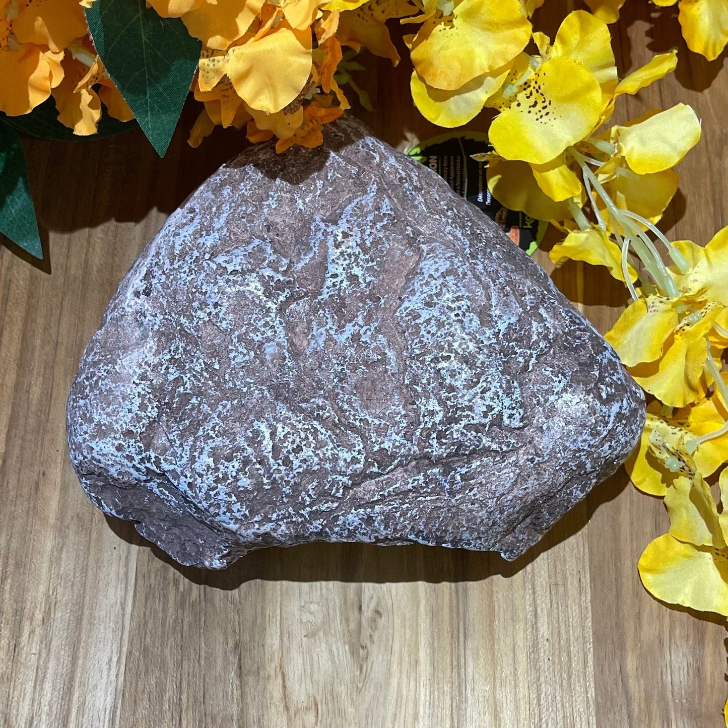 Komodo Resin Rock Decor Komodo Wide Entrance Rock Den Small